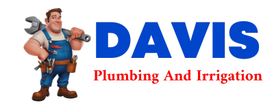 Trusted plumber in ELLIS GROVE